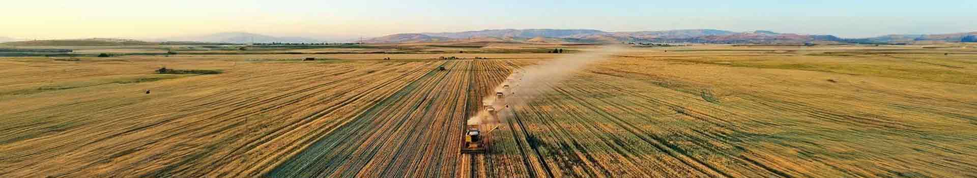 Tarla ve Arsa Arasındaki Fark Nedir? Tarla Nasıl Arsaya Dönüştürülür?